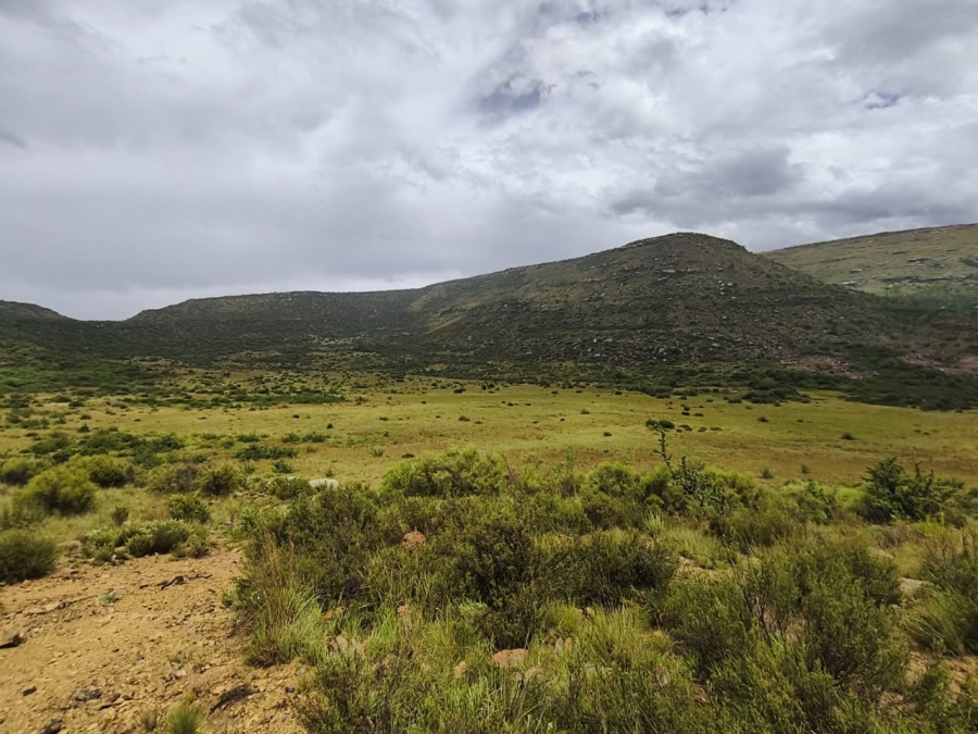 0 Bedroom Property for Sale in Jamestown Eastern Cape